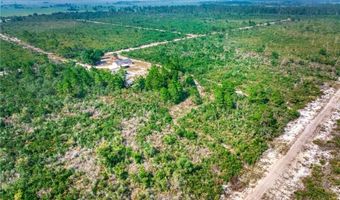 5300 E Devilwood St, Avon Park, FL 33825