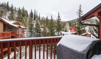 303 PELICAN Cir 1906, Breckenridge, CO 80424