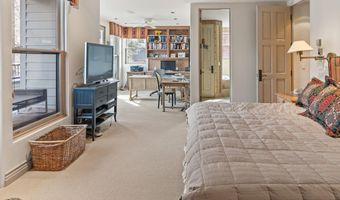 990 E Hopkins Ave, Aspen, CO 81611