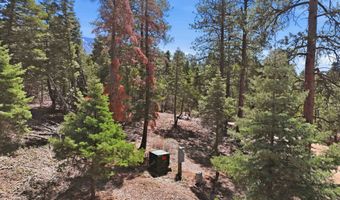 El Salto Road 13 Plus Acres, Arroyo Seco, NM 87514