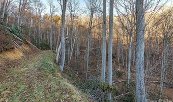 NC 209 Highway, Aurora, NC 28743