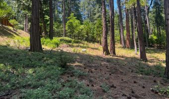 2904 Venado Dr, Arnold, CA 95223