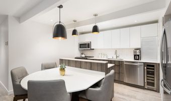 630 E Cooper Ave 2, Aspen, CO 81611