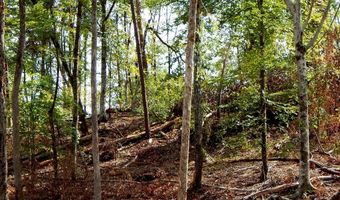590 County Road 247, Bruce, MS 38915