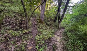 625 Th Ave, Albia, IA 52531