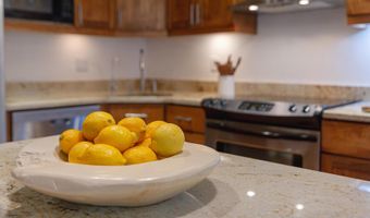 725 E Main St 309, Aspen, CO 81611