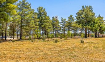 49585 Flightline Way, Aguanga, CA 92536