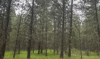 NNA N Sheep Springs Rd, Athol, ID 83801