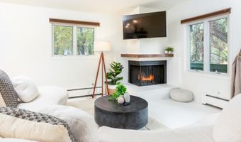 415 Park Cir 5, Aspen, CO 81611