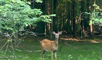 717 W 17th Ln, Arkdale, WI 54613