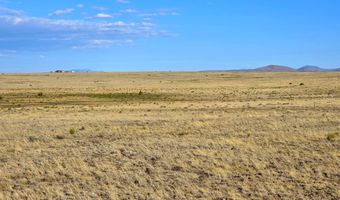 CR 5074 lot 4, Concho, AZ 85924