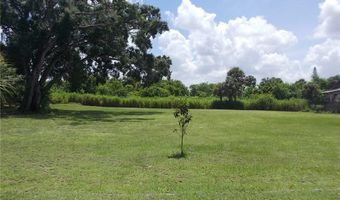 17451 Rewis Rd, Alva, FL 33920