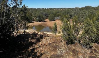 10777 Raging Crab Rd, Ash Fork, AZ 86320