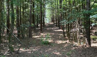 0 Highway 140 Tract E NW, Adairsville, GA 30103