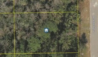 2107 McArthur Ave, Alva, FL 33920