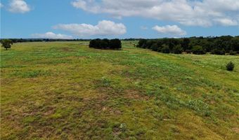 Tbd Tract 5 Fm-2819, Anderson, TX 77830