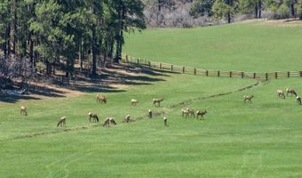 2500 CR 505, Bayfield, CO 81122
