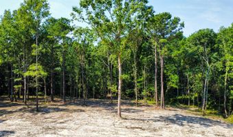 0 Backway Rd, Lincolnton, GA 30817