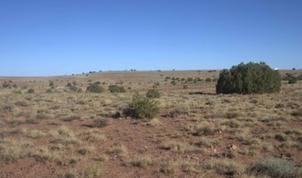 87 County Road 5311, Concho, AZ 85924