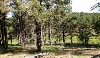 Lot 160 Valle Grande tr S, Angel Fire, NM 87710