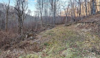 NC 209 Highway, Aurora, NC 28743