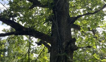 11138 State Highway O, Ava, MO 65608