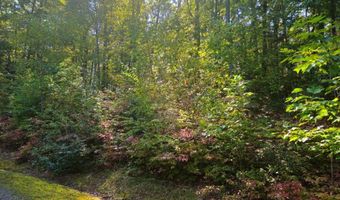 Fox Hollow Dr lot 17, Bastian, VA 24314