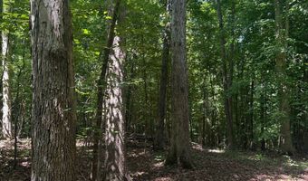 0000 Mifflin Rd, Beech Bluff, TN 38301