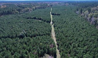 57 40 Acres-TBD Cades Rd, Cades, SC 29518