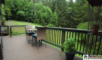 3220 Mcclure Hollow Rd, Allegany, NY 14706