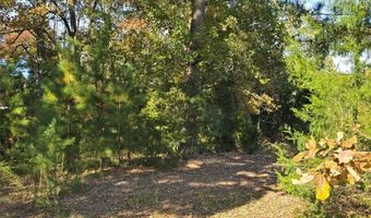 Parcel B Patrick Henry Highway, Amelia, VA 23002