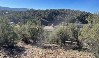 440 Run Around Rd, Arboles, CO 81121