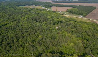 35038 PROMISED LAND Ln, Frankford, DE 19945