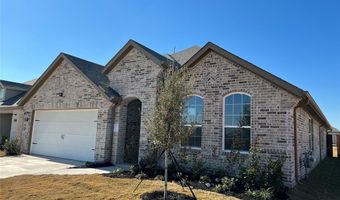 317 Tartane Dr, Anna, TX 75409