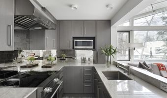 1001 E Cooper Ave 2, Aspen, CO 81611