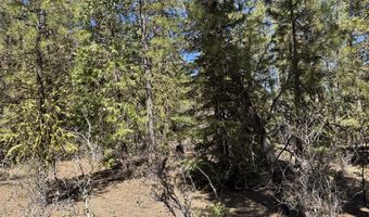 Horned Owl Way 385461, Bonanza, OR 97623