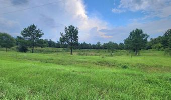 Lovedale Road, Bascom, FL 32423