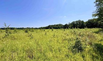 Flint Rd. E 0, Attica, IN 47918