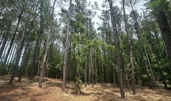 Ridge Road lot E, Appling, GA 30802