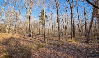 Farris Rd, Atoka, OK 74525