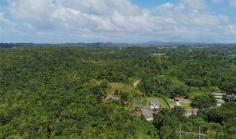 BARRIO JUNCAL, San Sebastian, PR 00685