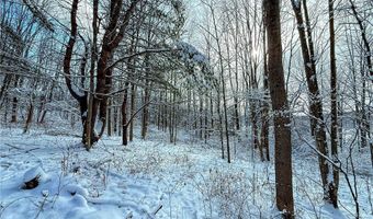 00 Fawn Lake Rd, Addison, NY 14801