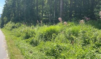 Martins Creek Road, Barnardsville, NC 28709