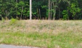 Double Pond Road, Blackville, SC 29817