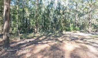 1809 Rosemary Cir, Bell, FL 32619