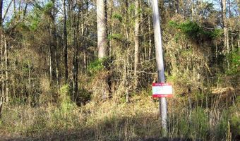LR 29, Ashdown, AR 71822