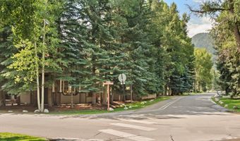 425 W North St, Aspen, CO 81611