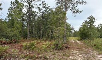 4539 NW Miller/White LN Rd, Altha, FL 32421