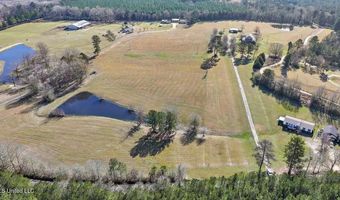 766 Pinola Braxton Rd, Braxton, MS 39044