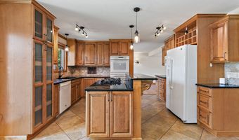 1133 N Thatcher Ln, Addison, IL 60101